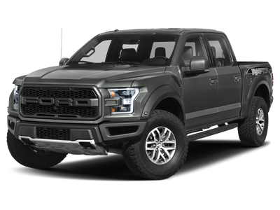 2019 Ford F-150 Raptor Hyper Off Road Package