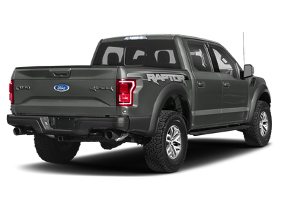 2019 Ford F-150 Raptor Hyper Off Road Package