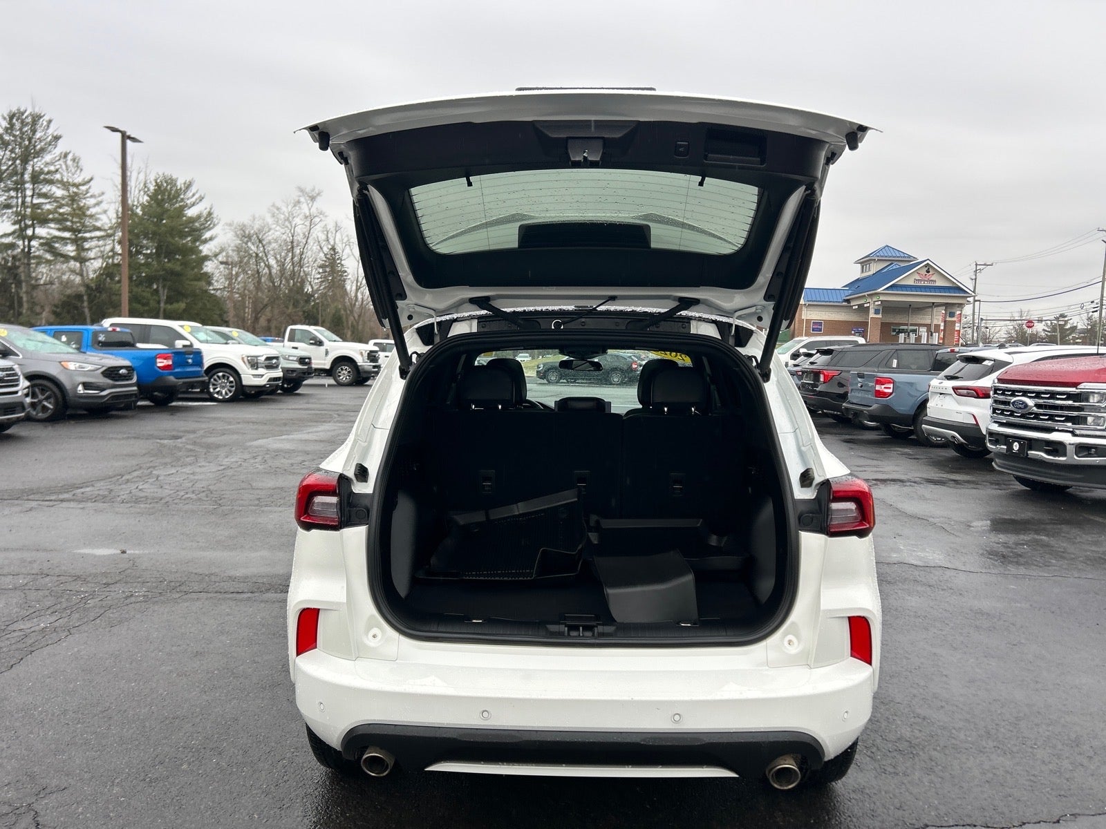 2023 Ford Escape ST-Line