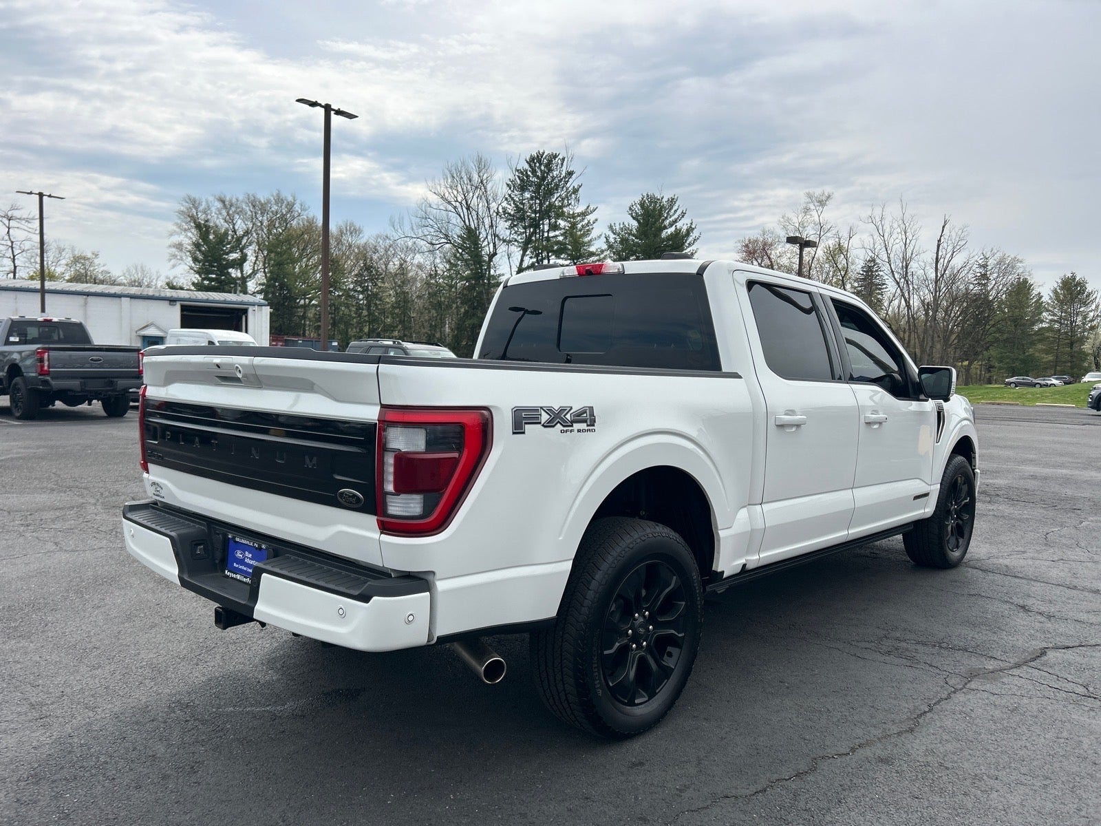 2022 Ford F-150 Platinum